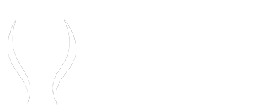 uma arte simulando uma coluna, com a silhueta das costas e bolas no meio, simulando a coluna, e o nome jenny repsold ao lado, sobre fisioterapeuta e o número do crefito, tudo em branco